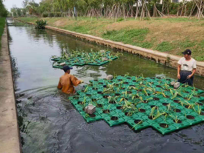 工程案例